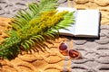 Openopen book, meadow yellow flowers, fern leaves, sunglasses on a brown knitted blanket