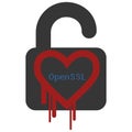 OpenSSL Heartbleed