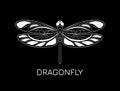 Openwork dragonfly icon. Black and white vector illustration. Isolated symbol on background. Creative concept for modern