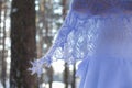 Horizontal closeup photo on a background of a winter forest of a light purple knitted openwork shawl thrown over the shoulders of Royalty Free Stock Photo