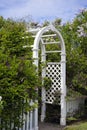 Openwork wooden arch in the garden with flowering lilac bushes