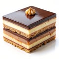 Opera cake isolated on white background Royalty Free Stock Photo