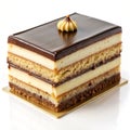 Opera Cake Isolated on White Background Royalty Free Stock Photo