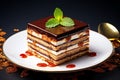 Opera Cake tasty dessert background