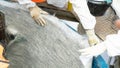 Operator working for fiber glass coating on the tank. Royalty Free Stock Photo