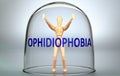 Ophidiophobia can separate a person from the world and lock in an isolation that limits - pictured as a human figure locked inside