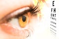 Ophthalmologist concept. Royalty Free Stock Photo