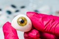 Ophthalmologist or surgeon holds an eye, eyeball prosthesis in hands