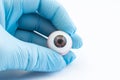 Ophthalmologist or surgeon holds in hand dressed in a blue glove eye eyeball. Concept photo for ocular prosthesis, diagnosis and Royalty Free Stock Photo