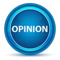 Opinion Eyeball Blue Round Button Royalty Free Stock Photo