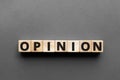 Opinion - word from wooden blocks with letters