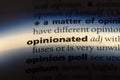 opinionated