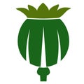Opium Poppy Head Flat Icon Image
