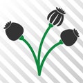 Opium Poppy Plant Vector EPS Icon