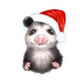 Opossum in Santa Hat Royalty Free Stock Photo