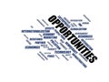 OPPORTUNITIES - word cloud wordcloud - terms from the globalization, economy and policy environment