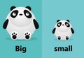 Opposite big and small, Opposite English Words big and small on white background,panda illustration vector. Royalty Free Stock Photo