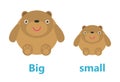 Opposite big and small, Opposite English Words big and small on white background,teddy bear illustration vector. Royalty Free Stock Photo