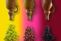 Opposite each of the three clay wine bottles are grapes of Chardonnay, Traminer and Isabella. The background of each duet Royalty Free Stock Photo