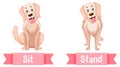 Opposite English Words sit and stand Royalty Free Stock Photo