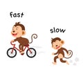Opposite fast and slow