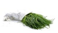 opposite-leaved saltwort vegetable also known as friar beard,salsola soda or Agretti on a white background