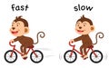 Opposite words fast and slow vector