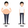 Opposite words fat and thin Royalty Free Stock Photo