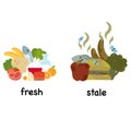 Opposite words fresh and stale Royalty Free Stock Photo