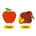 Opposite words fresh and stale Royalty Free Stock Photo