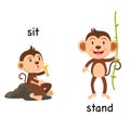 Opposite words sit and stand vector Royalty Free Stock Photo