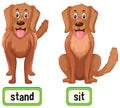 Opposite words for stand and sit