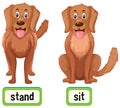 Opposite words for stand and sit Royalty Free Stock Photo