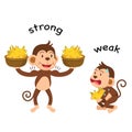 Opposite words strong and weak vector