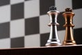 opposition of King chess piece against chess board