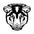 Opposum face vector illustration in cartoon style Royalty Free Stock Photo