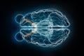 Optic or cranial nerve x-ray superior or top view 3D rendering illustration. Human brain and visual system anatomy, medical,