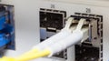 Optic fiber and SFP connected to switch Royalty Free Stock Photo