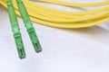 Optic single mode type E2000 patch cord Royalty Free Stock Photo