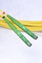 Optic single mode type E2000 patch cord Royalty Free Stock Photo