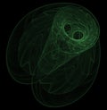 Optical Art Fractal Attractor Night Moth One Green