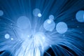 Optical fiber Royalty Free Stock Photo