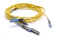 Optical fiber with connectors Royalty Free Stock Photo