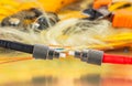 Optical fiber optic cables, telecommunication service Royalty Free Stock Photo