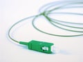 Optical fiber patch cord Royalty Free Stock Photo