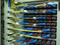 Optical fiber patch panel Royalty Free Stock Photo
