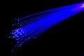 Optical fibers Royalty Free Stock Photo