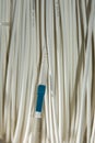 Optical Fibre Patch Cord Royalty Free Stock Photo