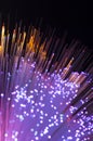 optical fibres dinamic flying from deep on technology Royalty Free Stock Photo