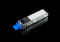 Optical gigabit SFP module for network switch isolated Royalty Free Stock Photo